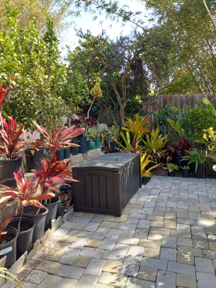 Top-rated outdoor landscaping with custom design across San Juan Capistrano, CA - Cano Landscapes