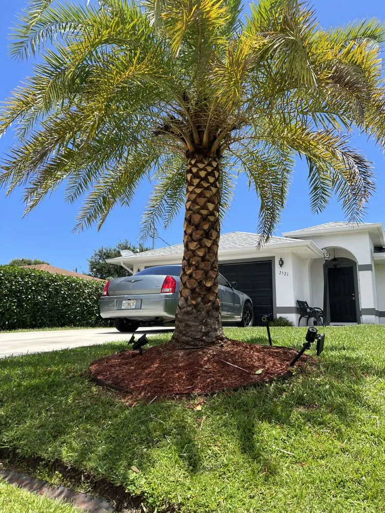 Custom residential landscaping in Port Saint Lucie, FL by Cano Landscaping & More