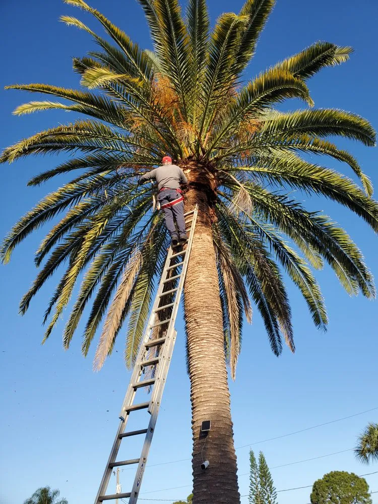 Custom yard cleanup service for outdoor upgrades across Port Saint Lucie, FL - Cano Landscaping & More