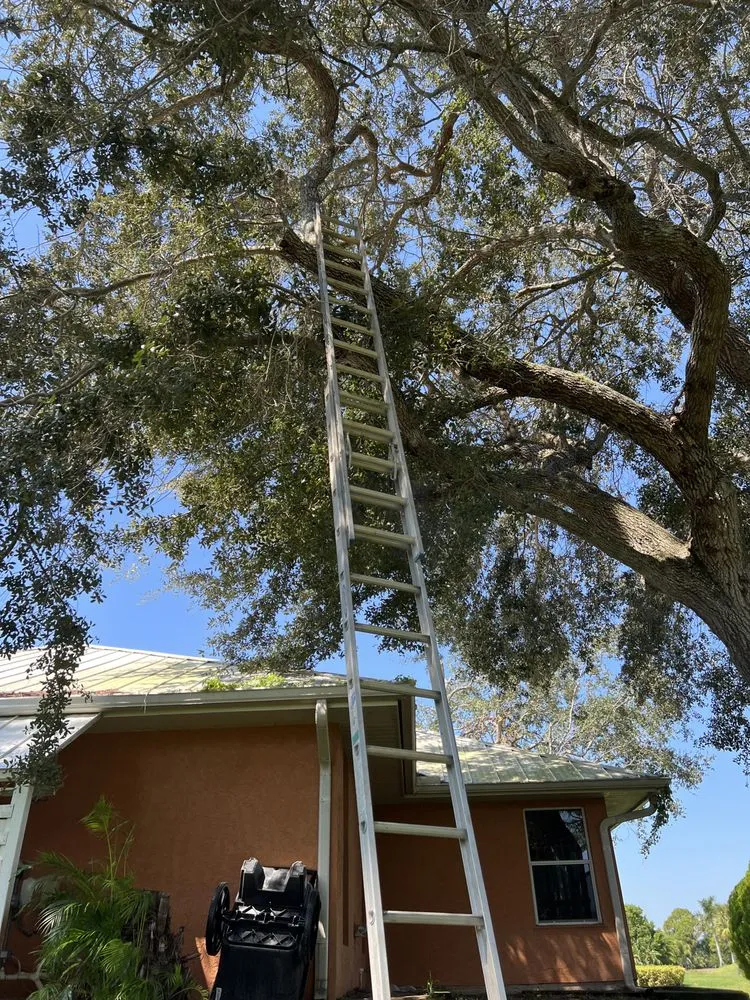 Trusted lawn care service experts serving Port Saint Lucie, FL - Cano Landscaping & More