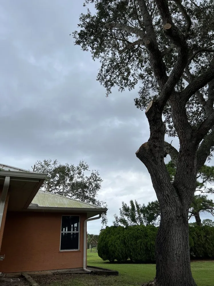 Top-rated outdoor landscaping in Port Saint Lucie, FL - Cano Landscaping & More