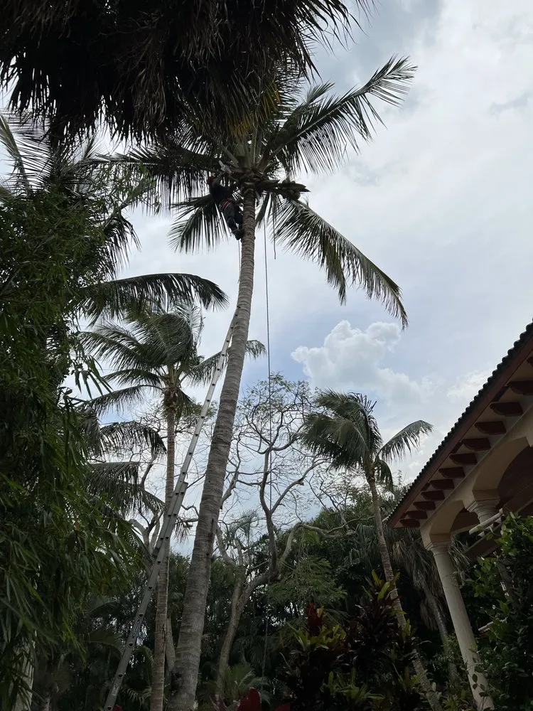 Affordable lawn mowing service for homes across Port Saint Lucie, FL - Cano Landscaping & More