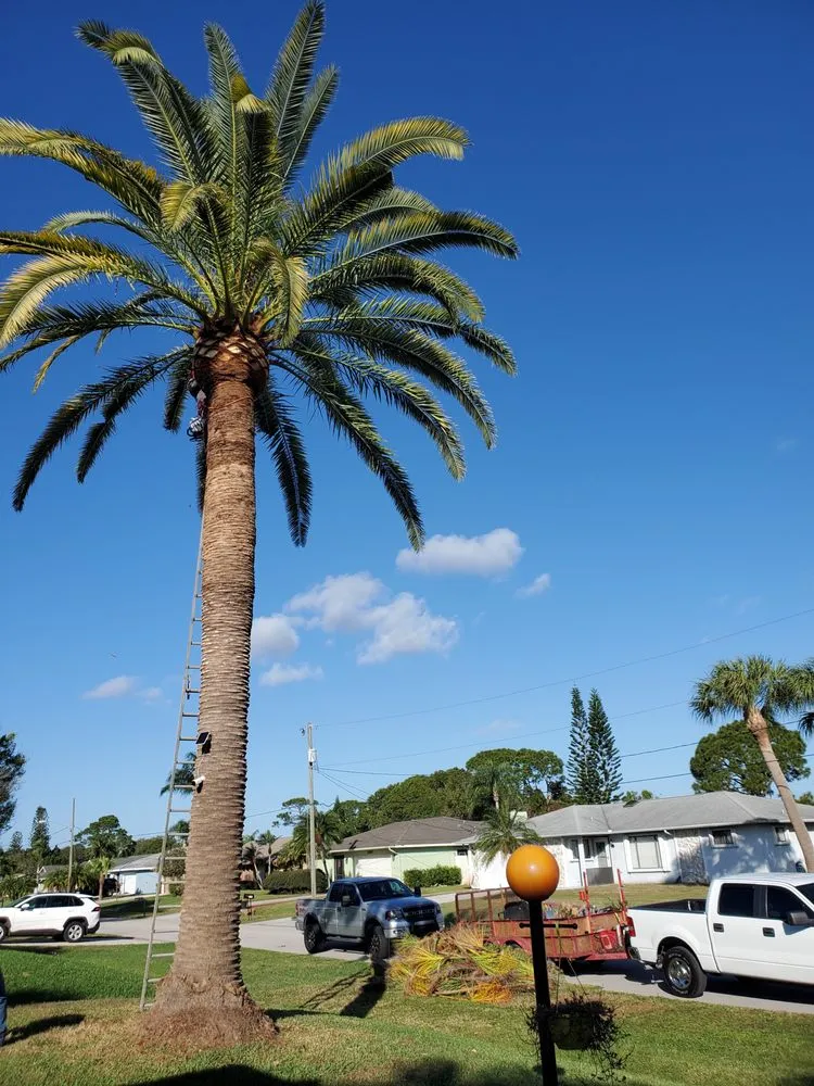 Local yard maintenance in Port Saint Lucie, FL - Cano Landscaping & More