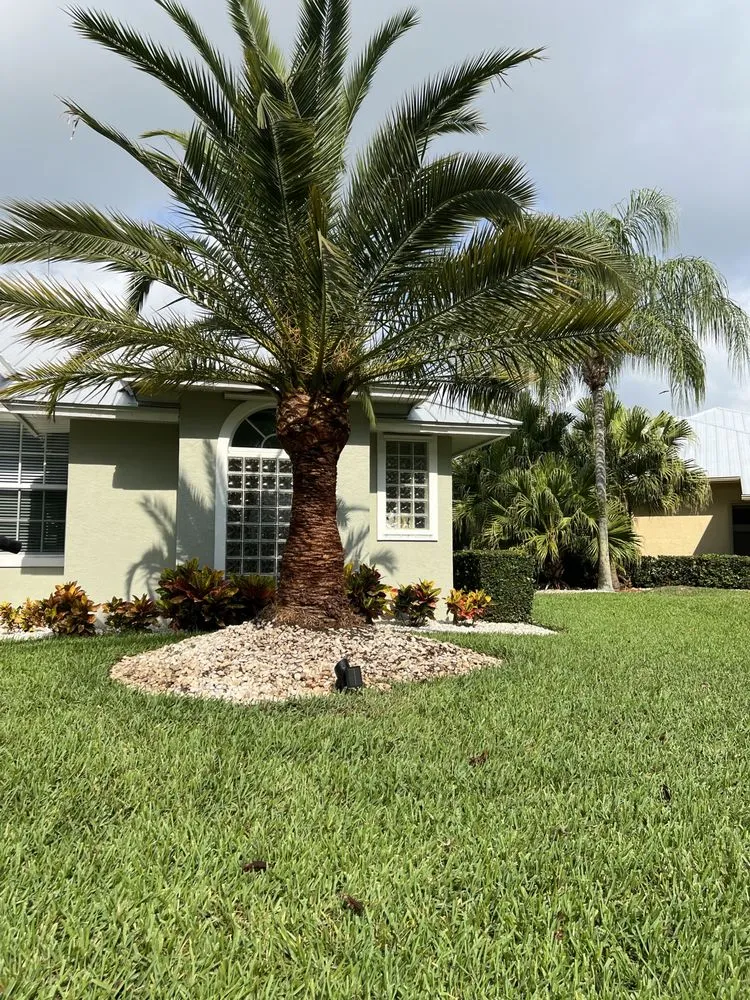 Custom yard maintenance for beautiful yards across Port Saint Lucie, FL - Cano Landscaping & More