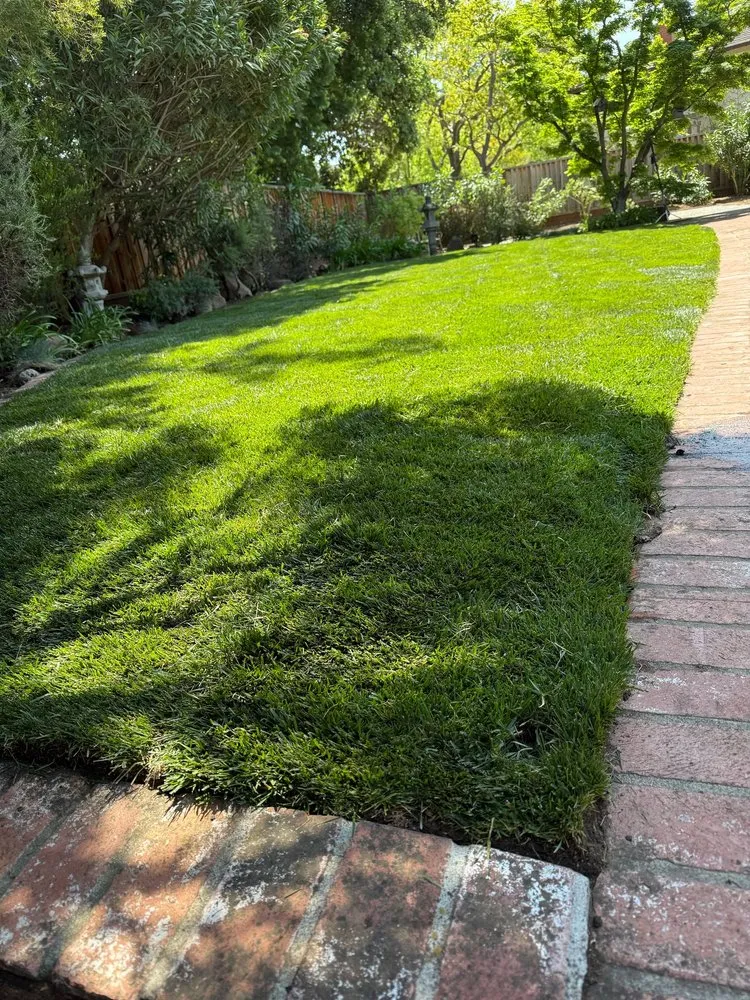 Trusted landscaping services in San Jose, CA by Cano Landscaping