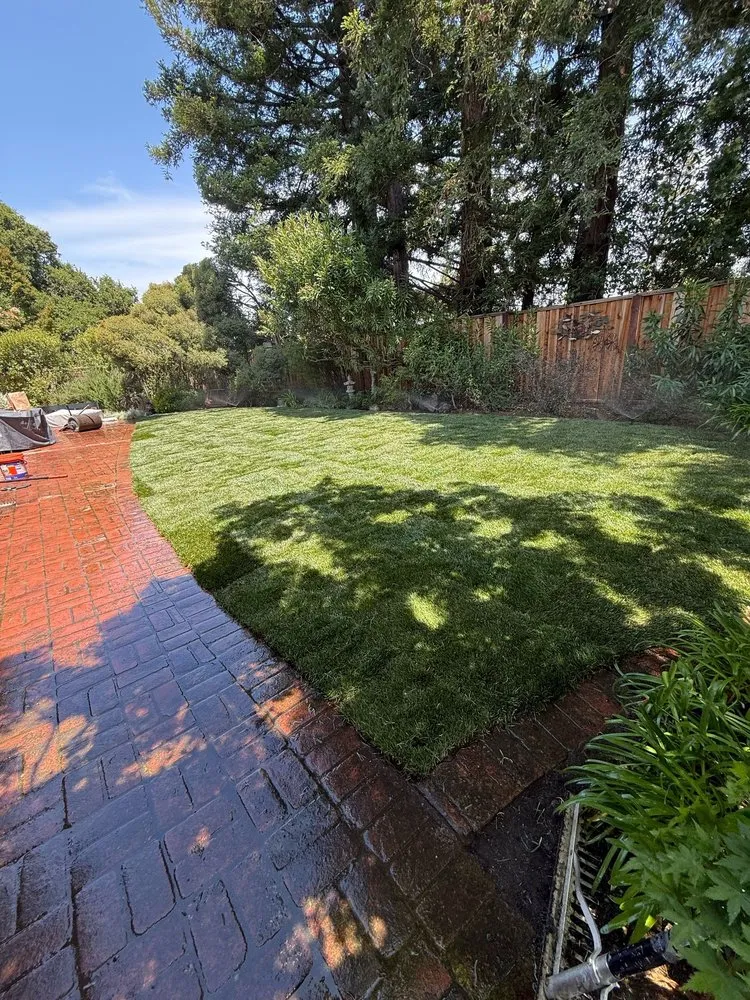 Reliable yard maintenance for outdoor upgrades in San Jose, CA by Cano Landscaping