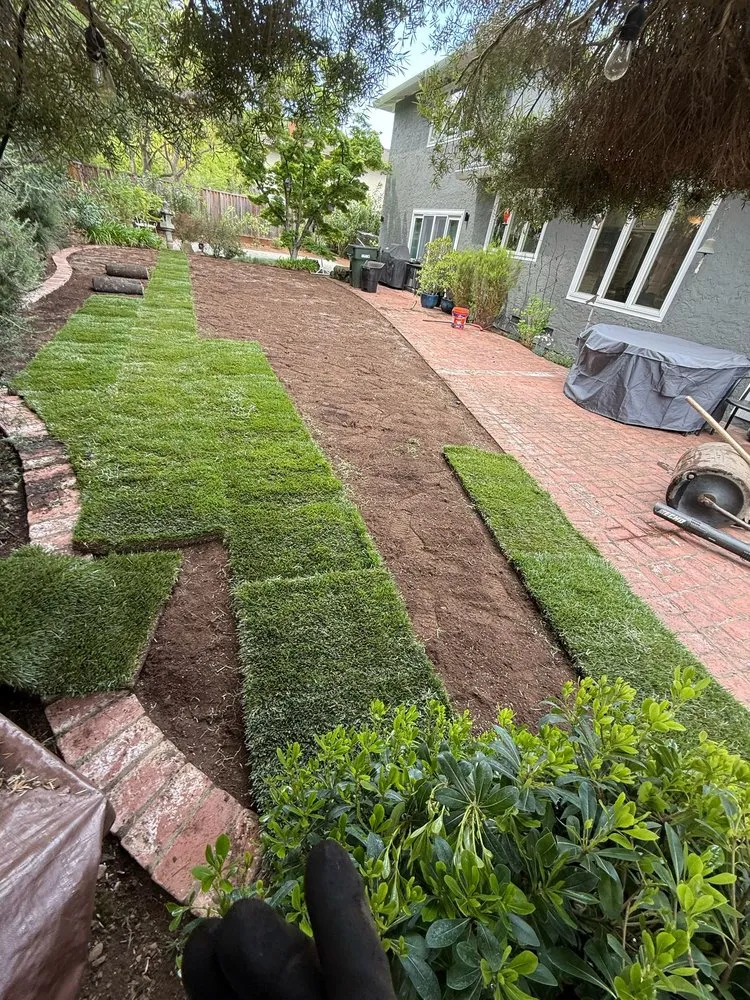 Reliable landscape installation for residential properties in San Jose, CA by Cano Landscaping