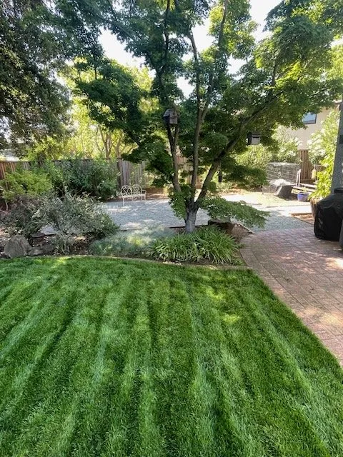 Professional yard maintenance in San Jose, CA - Cano Landscaping