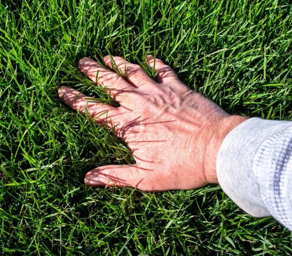 Reliable landscaping services in Monroe, NY - Cano lawncare
