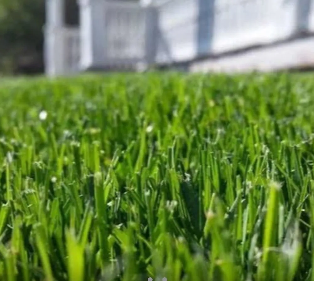 Reliable lawn care service near you across Monroe, NY - Cano lawncare