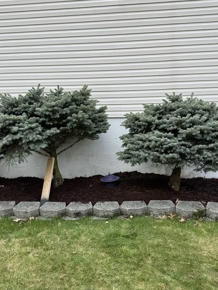 Expert lawn care service for outdoor upgrades in Monroe, NY by Cano lawncare