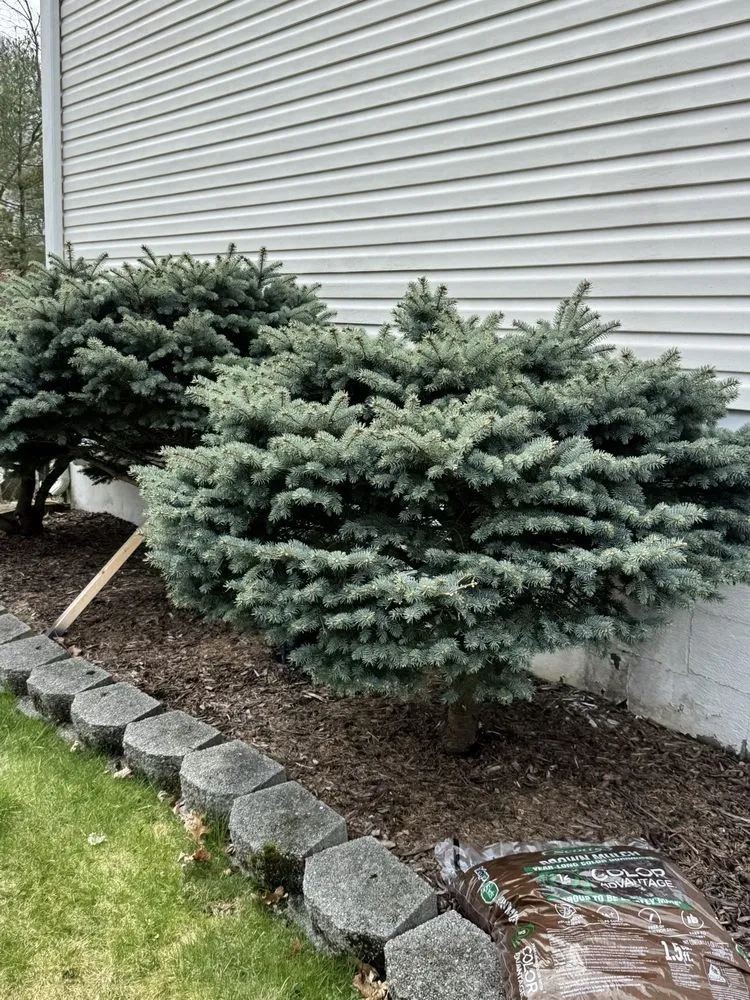 Custom yard cleanup service in Monroe, NY - Cano lawncare