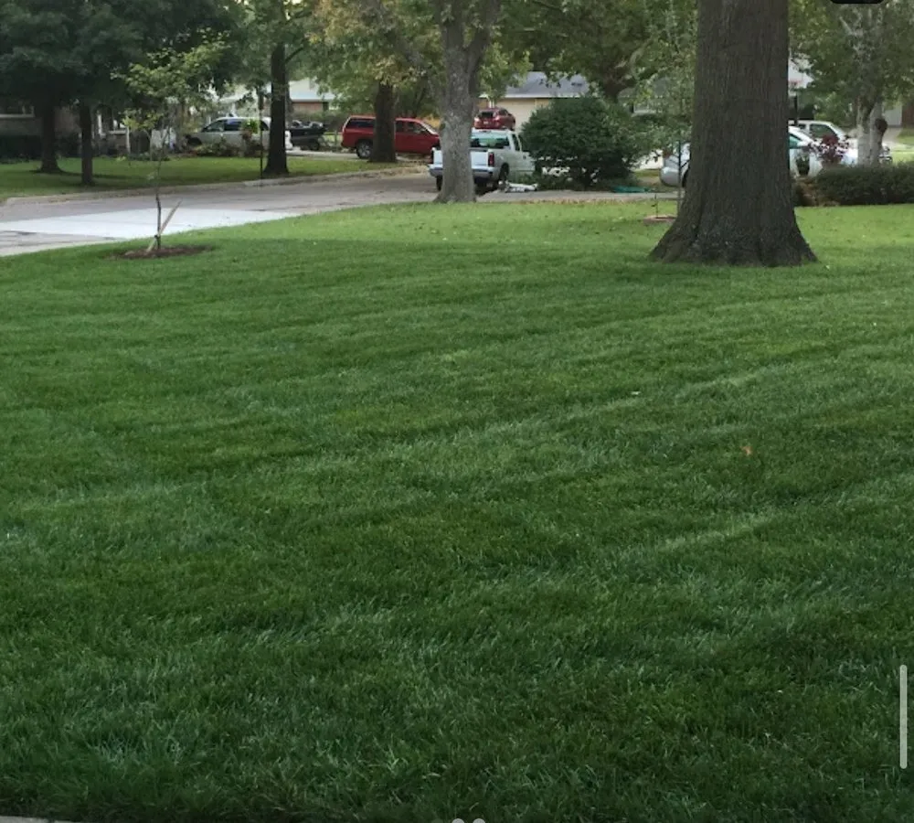 Top-rated yard cleanup service in Monroe, NY by Cano lawncare