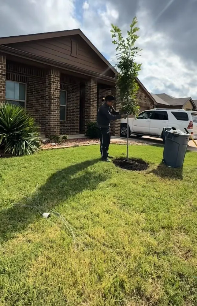 Professional landscape design experts serving Monroe, NY - Cano lawncare