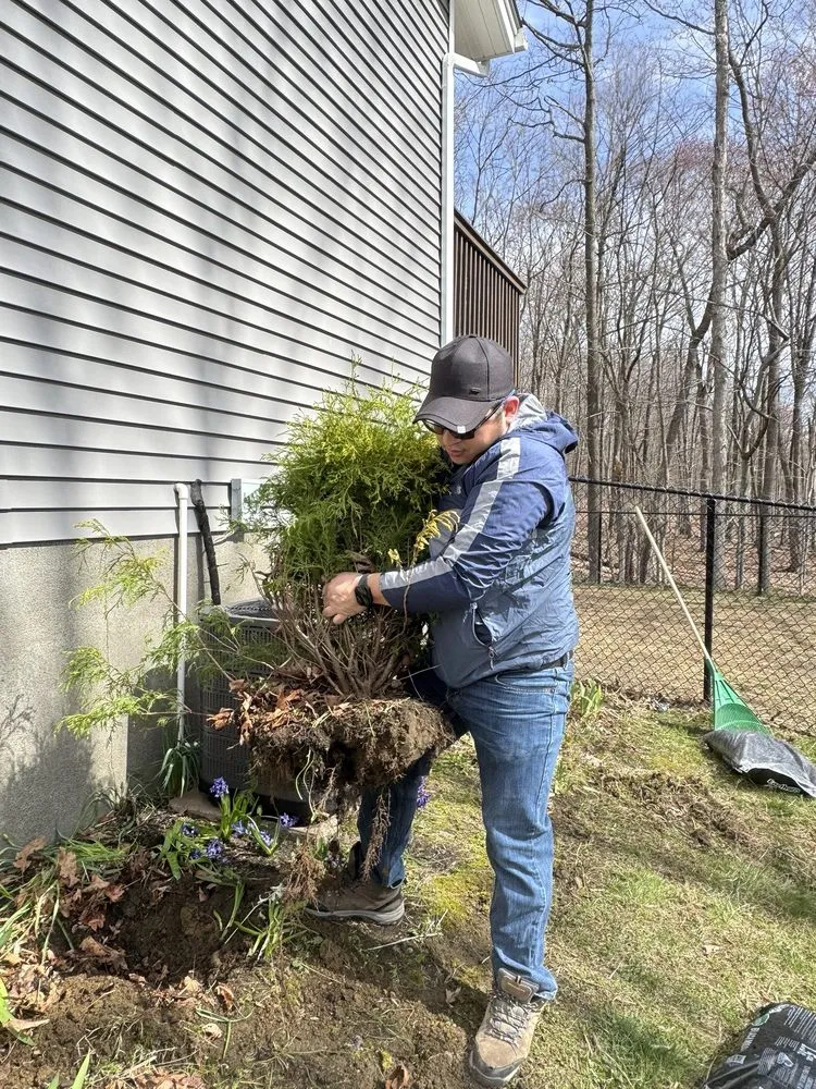 Affordable yard cleanup service experts serving Monroe, NY - Cano lawncare