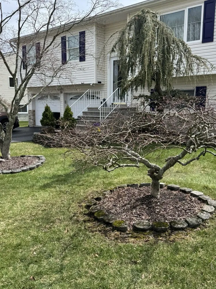 Top-rated landscaping services for beautiful yards across Monroe, NY - Cano lawncare