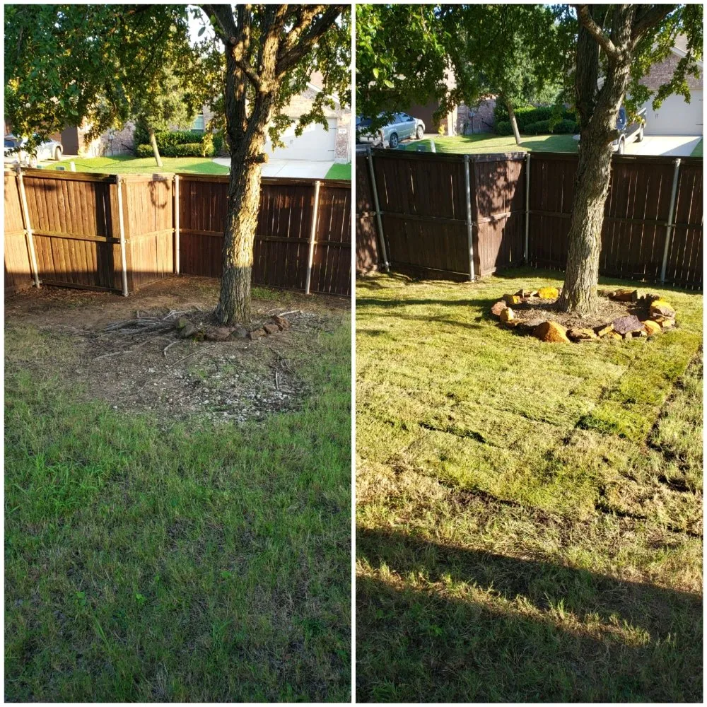 Professional garden landscaping for year-round maintenance in Lewisville, TX by Canon Outdoors