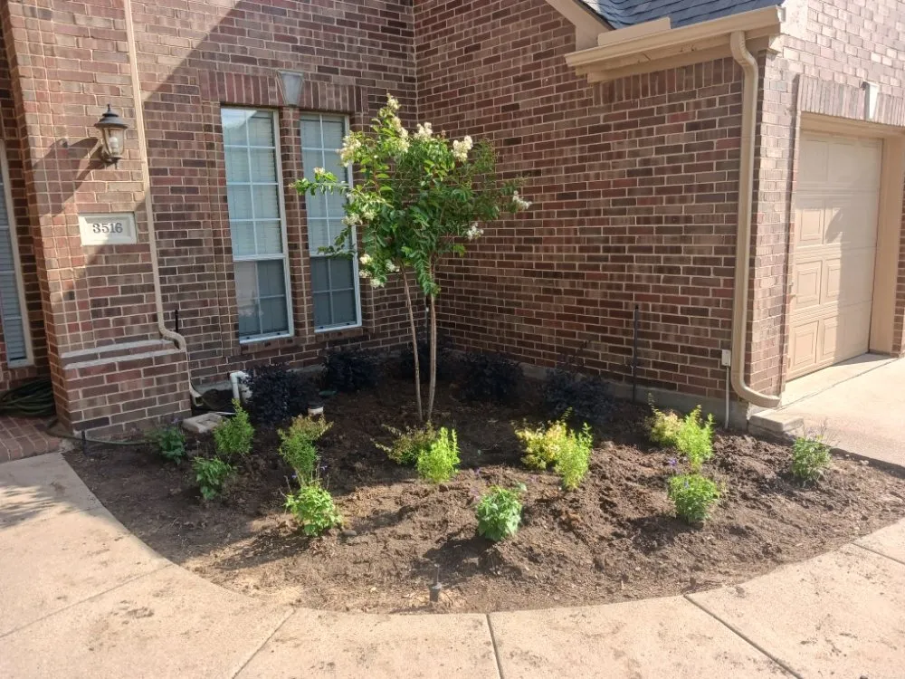 Expert lawn care service for homes in Lewisville, TX by Canon Outdoors