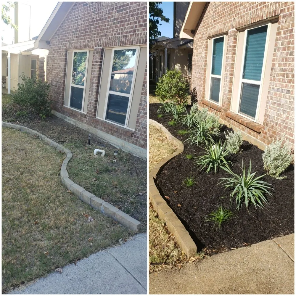 Custom landscape design in Lewisville, TX - Canon Outdoors
