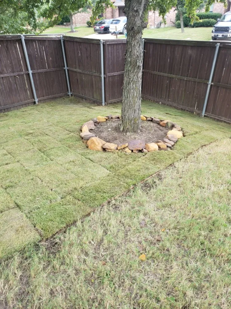 Top-rated outdoor landscaping for residential properties across Lewisville, TX - Canon Outdoors