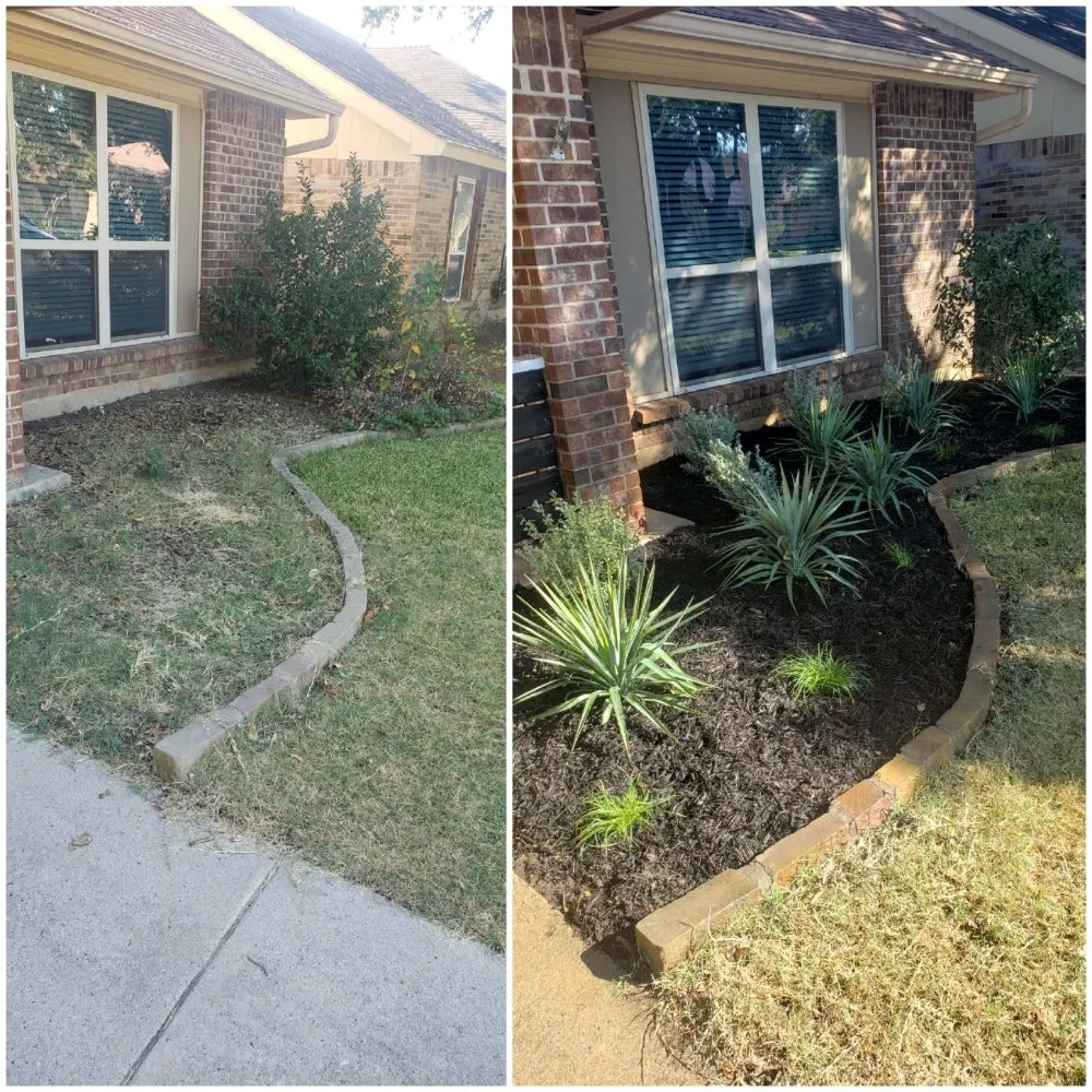 Local yard cleanup service for homes across Lewisville, TX - Canon Outdoors