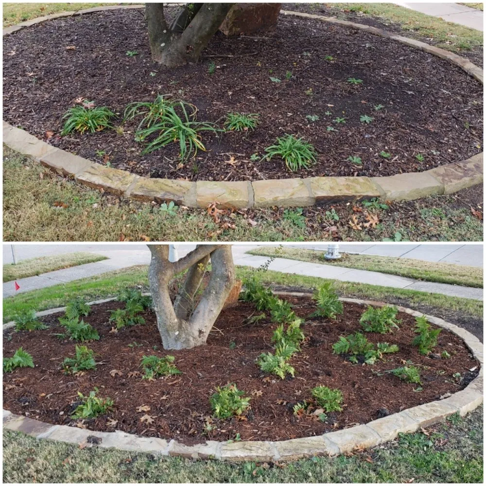 Expert landscape installation with custom design in Lewisville, TX by Canon Outdoors