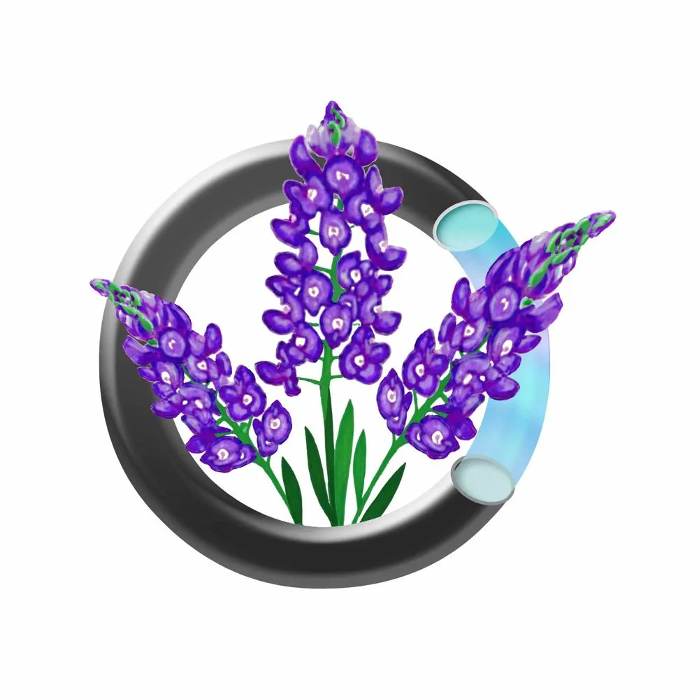 Top-rated yard cleanup service for outdoor upgrades across Lewisville, TX - Canon Outdoors