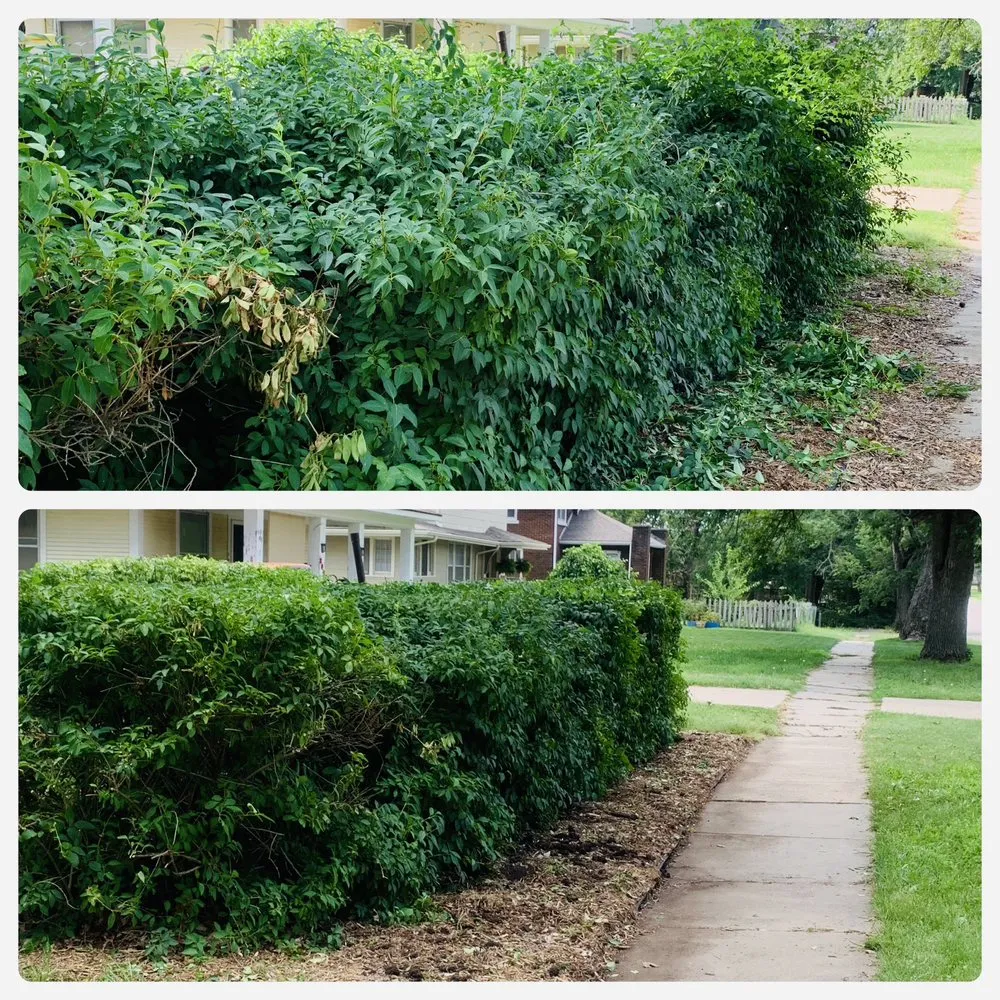 Professional yard maintenance experts serving El Dorado, KS - Canons