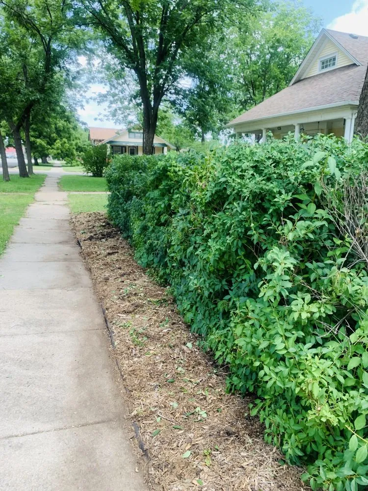 Expert yard maintenance in El Dorado, KS - Canons