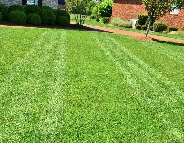 Top-rated outdoor landscaping with custom design across El Dorado, KS - Canons