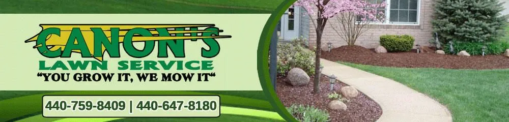 Trusted yard cleanup service in Wellington, OH - Canon's Lawn Service