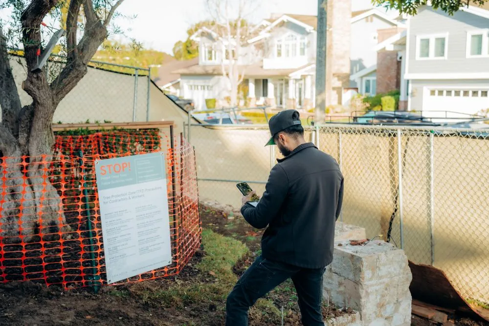 Reliable landscaping services in Costa Mesa, CA by Canopy and Co