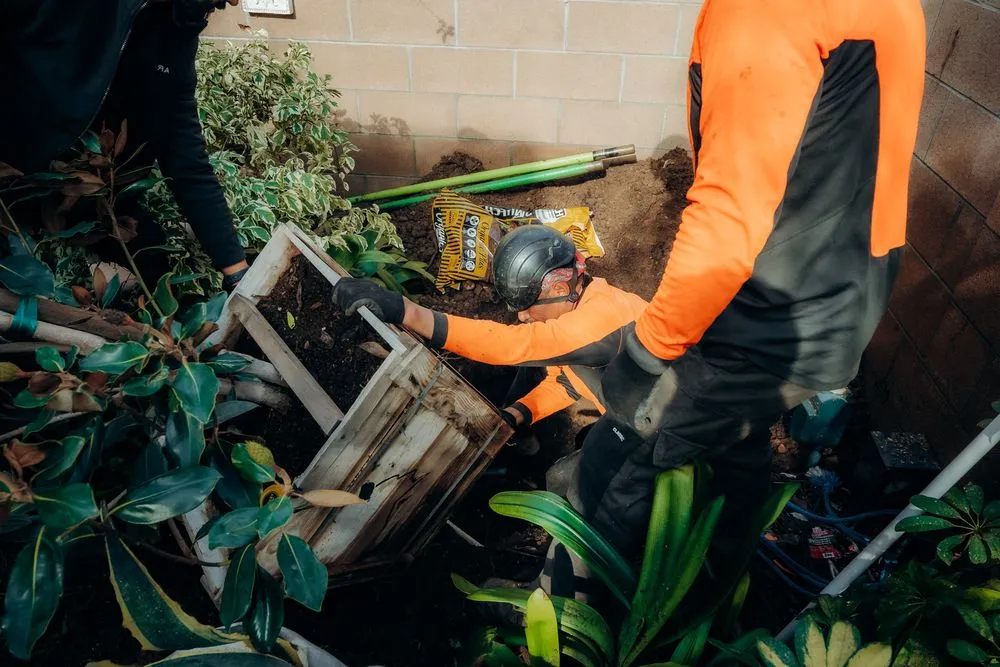 Professional landscaping services for beautiful yards across Costa Mesa, CA - Canopy and Co