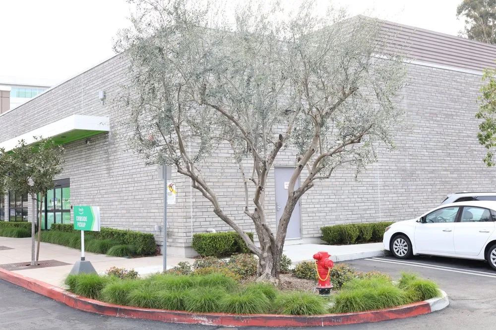 Expert garden landscaping for homes across Costa Mesa, CA - Canopy and Co