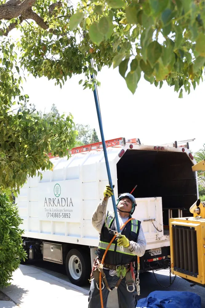 Professional landscape installation in Costa Mesa, CA - Canopy and Co