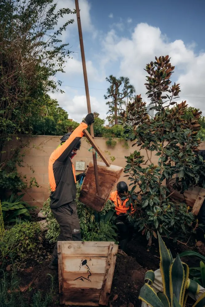 Custom garden landscaping in Costa Mesa, CA by Canopy and Co