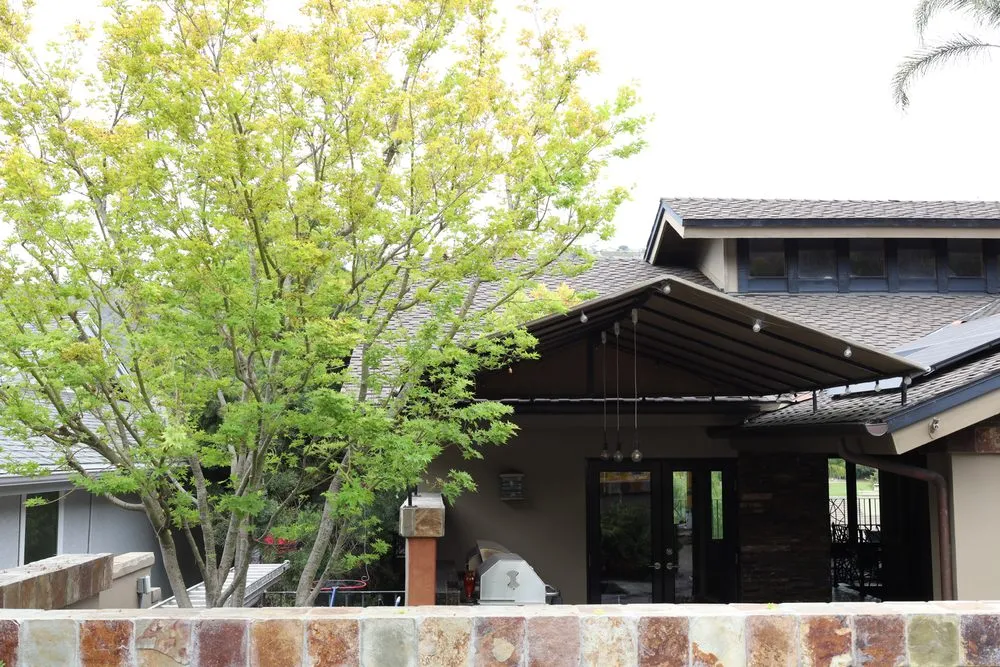 Expert garden landscaping in Costa Mesa, CA - Canopy and Co