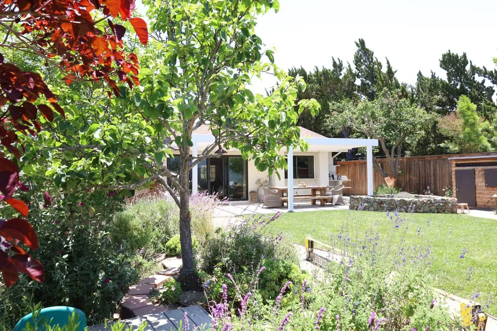 Local landscape design in Costa Mesa, CA by Canopy and Co