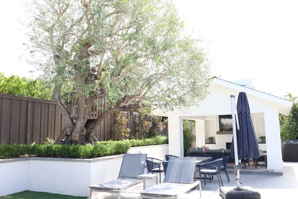 Local landscape installation for beautiful yards across Costa Mesa, CA - Canopy and Co