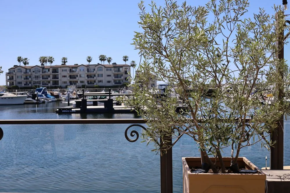 Local landscape installation in Costa Mesa, CA by Canopy and Co