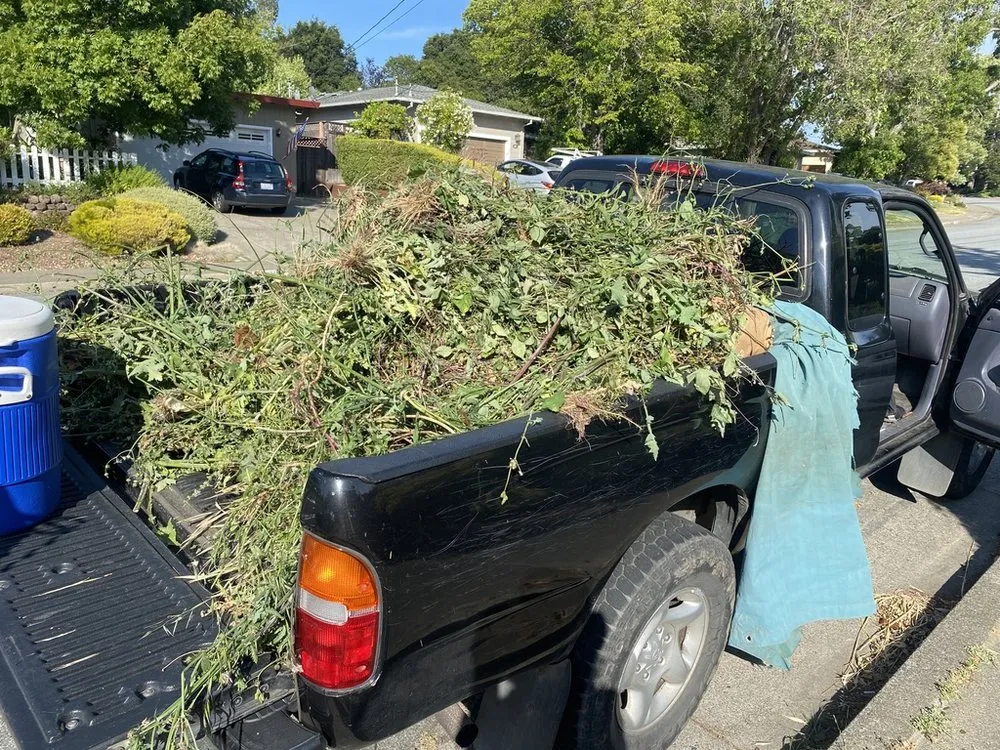 Top-rated lawn mowing service near you in Santa Cruz, CA by Canopy Care Holistic Pruning