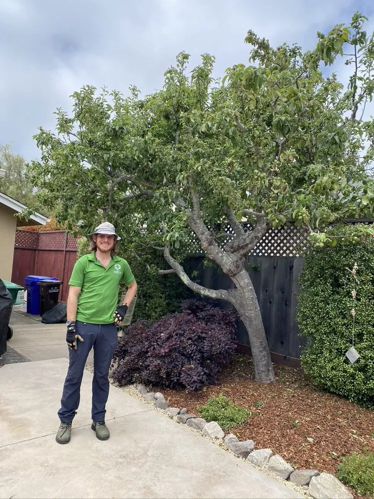Local outdoor landscaping for outdoor upgrades across Santa Cruz, CA - Canopy Care Holistic Pruning