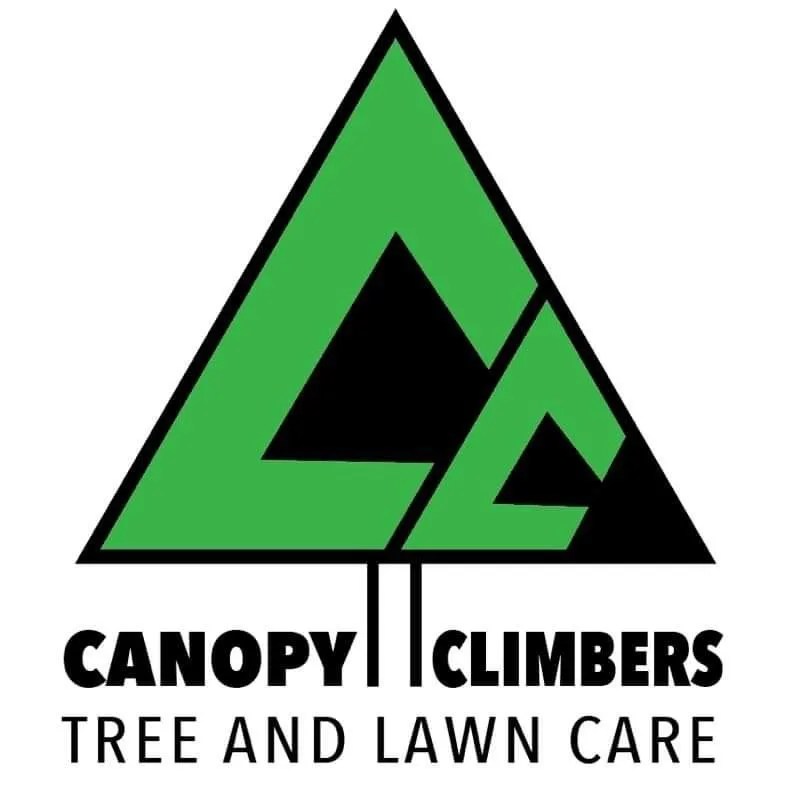 Local outdoor landscaping with custom design across Wilmington, NC - Canopy Climbers Tree and Lawn Care