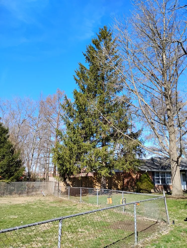 Custom landscape design in Springfield, OH - Canopy Kings Property Care