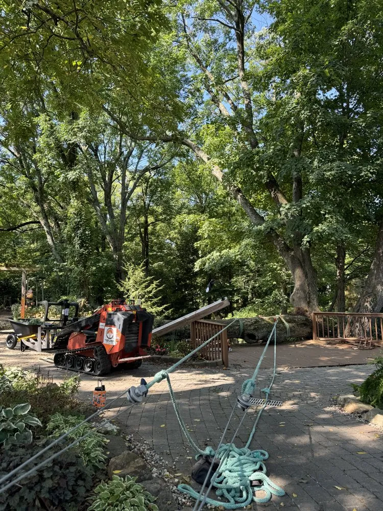 Affordable landscape design for beautiful yards in Avon, IN by Canopy Kings Tree Service