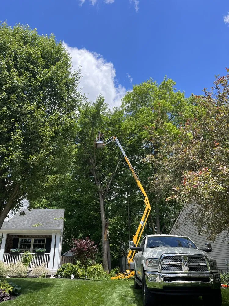 Expert lawn mowing service for homes across Avon, IN - Canopy Kings Tree Service