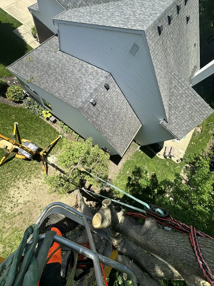 Local lawn care service for residential properties across Avon, IN - Canopy Kings Tree Service