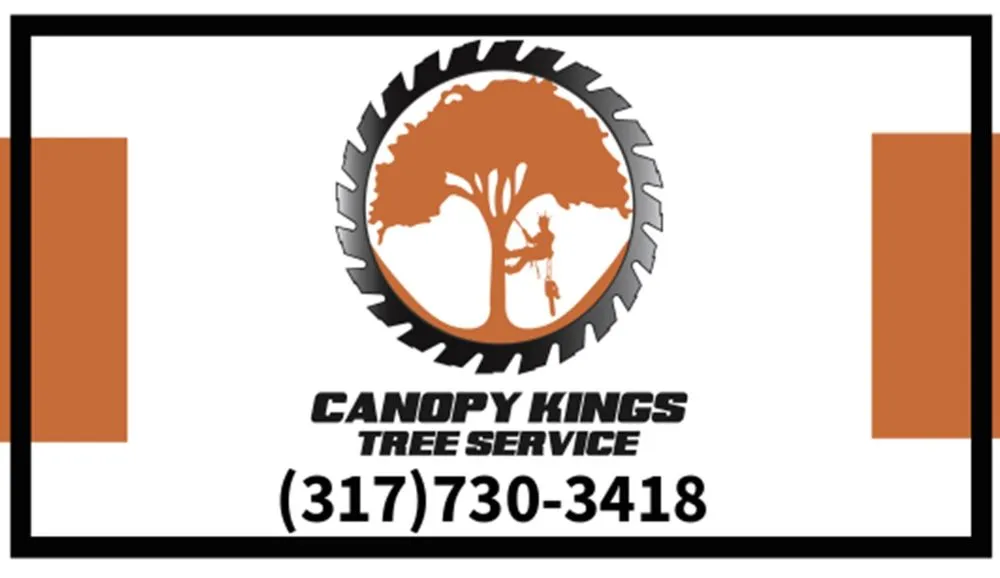 Custom residential landscaping experts serving Avon, IN - Canopy Kings Tree Service