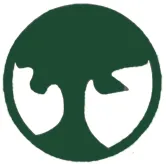 Affordable landscape installation in Katy, TX by CANOPY Landscapes & Maintenance