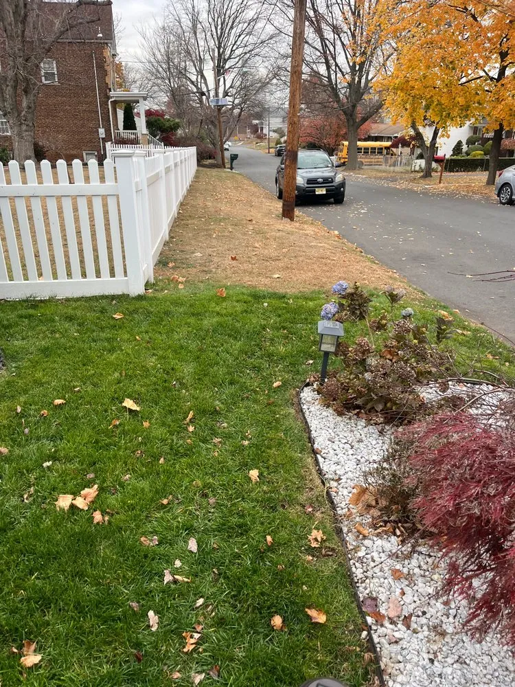 Local lawn care service in Dallas, TX by Canopy Lawn Care